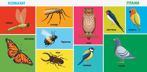 100 primeras palabras