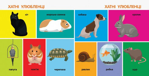 100 animaux. Livres intelligents
