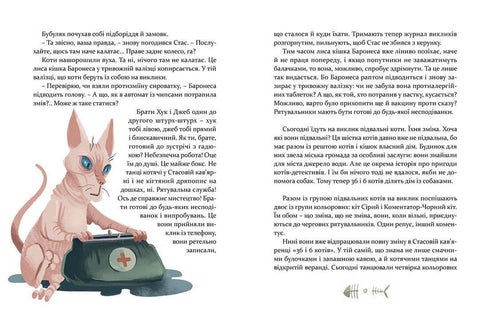 36 and 6 rescue cats