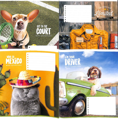 Heft im Liniensystem 18 Blätter / verschiedene Motive auf dem Einband /