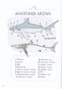 Anatomy of the Ocean. Incredible Places and Parts of the World Hidden Underwater
