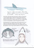 Anatomy of the Ocean. Incredible Places and Parts of the World Hidden Underwater