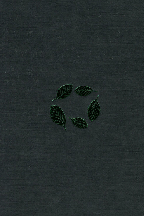 Tierra de haya - 9786175851791