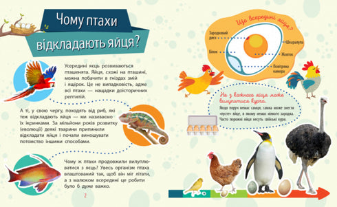 ¿Por qué eres tan lindo? Animales