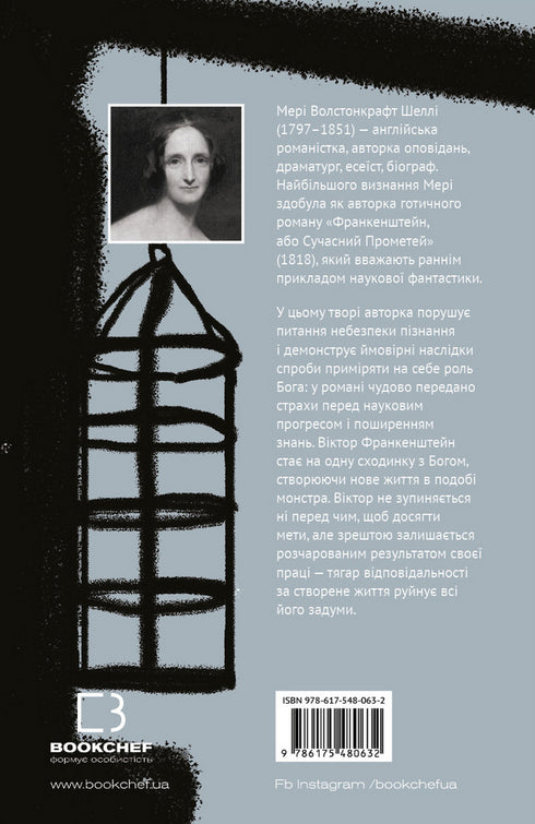 Frankenstein oder Der moderne Prometheus - 9786175480632