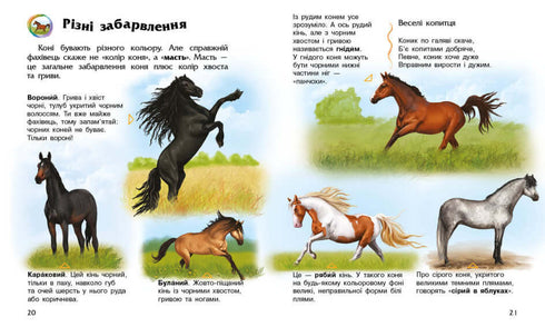 Encyclopedia of Preschoolers. Horses