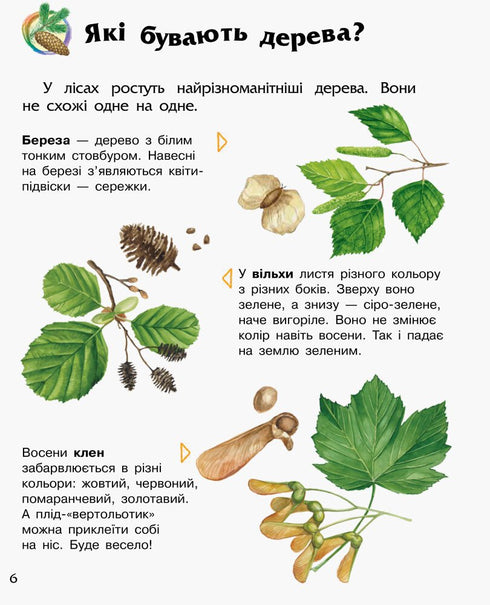 Enzyklopädie des Vorschulkindes. Wald
