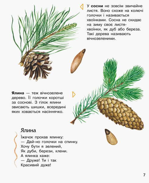 Enzyklopädie des Vorschulkindes. Wald