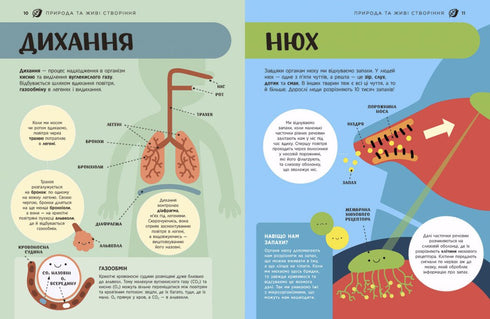 STEM Encyclopedia for Children. 100 Concepts of a Future Genius