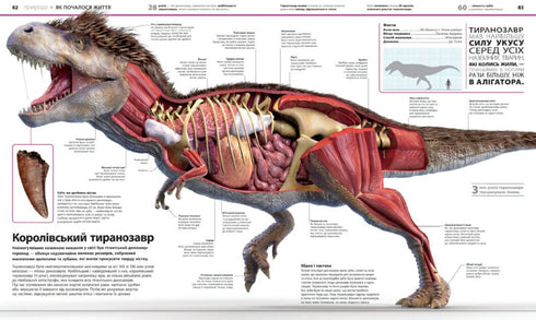 Enzyklopädie des Wissens
