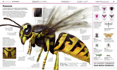 Enzyklopädie des Wissens