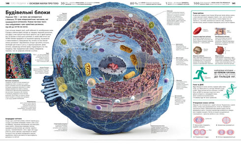 Enzyklopädie des Wissens