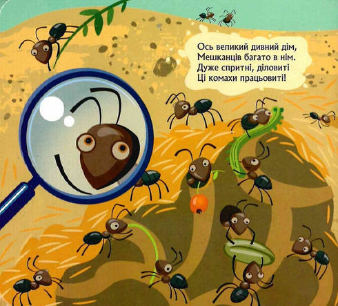 Wer hat sich unter der Erde versteckt