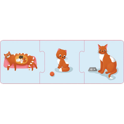 Logische Ketten. Tiere und Pflanzen. Entwicklungsstadien