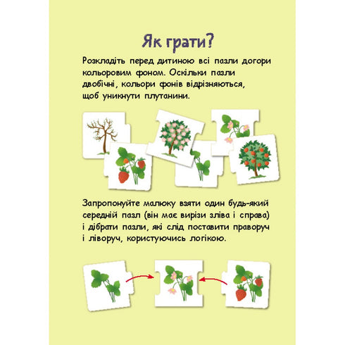 Logische Ketten. Tiere und Pflanzen. Entwicklungsstadien