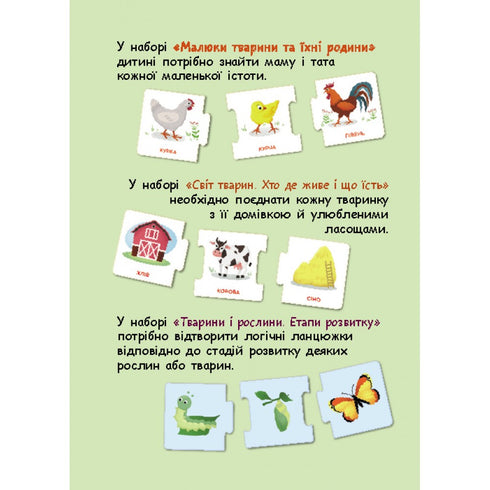 Logische Ketten. Tiere und Pflanzen. Entwicklungsstadien