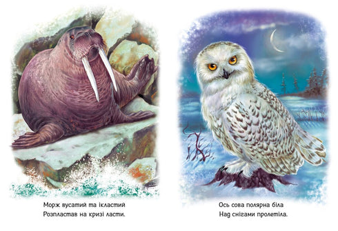 Los niños sobre los animales. Los animales del mundo