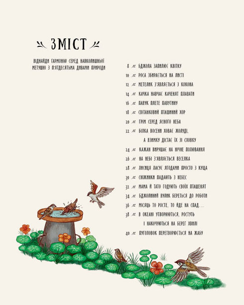 Little Wonders of Nature - 9786170985606