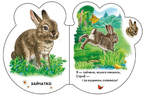 Pequeños. En el bosque