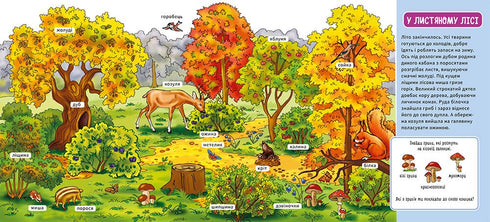 My First Dictionary. In the Forest