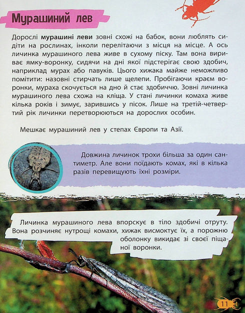 Mini-encyclopédie. Insectes et araignées