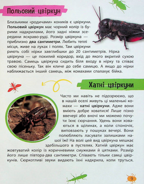Mini-encyclopédie. Insectes et araignées