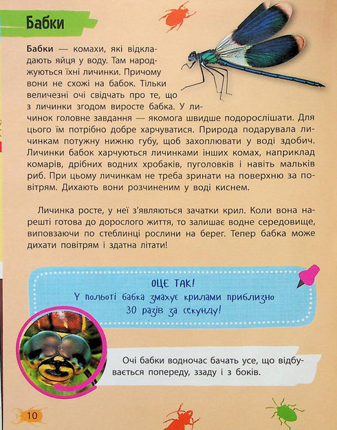 Mini-encyclopédie. Insectes et araignées