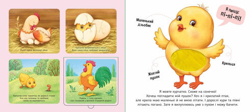 En la granja - 9789667511937