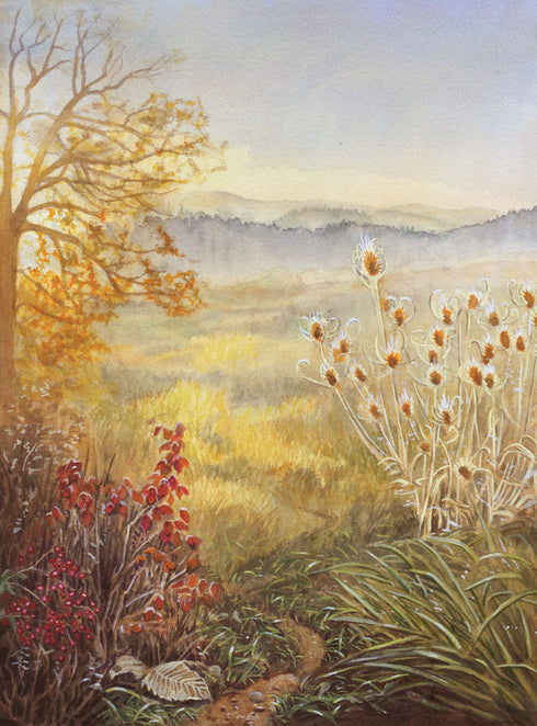 Navidad en el Claro del Bosque