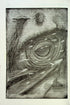 Worte des Strahlenordens. Chroniken des Sturmlichts. Buch 2