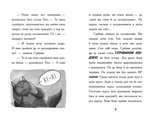 Тото. Кішка-ніндзя та справа про викрадення сиру. Книга 2