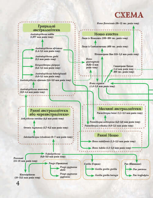 Vom Affen zum Menschen