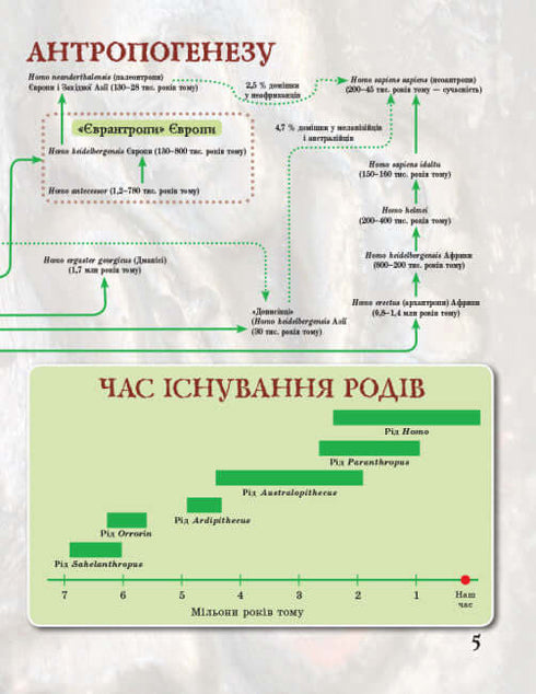 Vom Affen zum Menschen