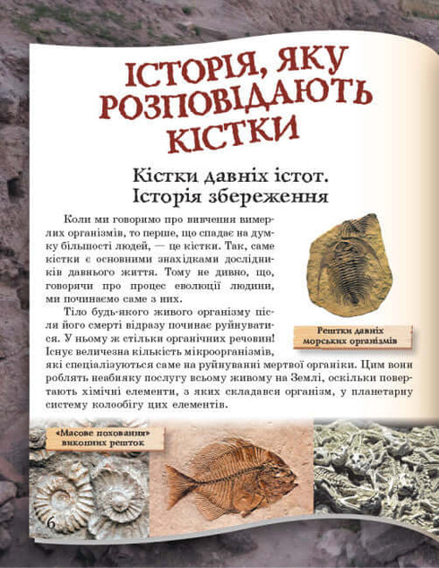 Vom Affen zum Menschen