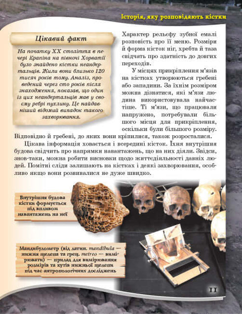 Vom Affen zum Menschen