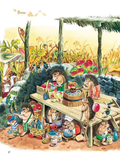 Le grand livre sur les saisons