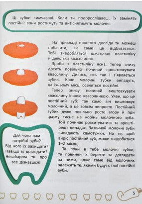 Baby teeth. All about caring for your teeth