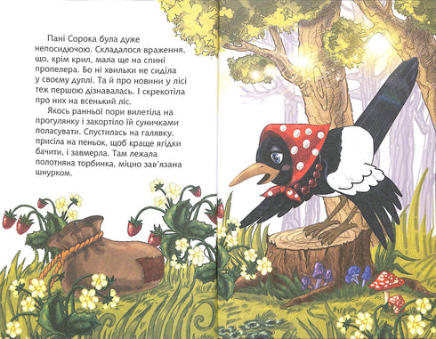 Bolsa con misterio. Leo con gusto - nivel 4