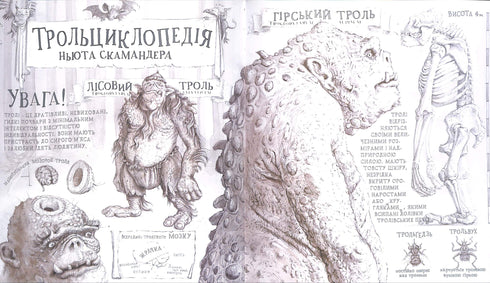 Гаррі Поттер і філософський камінь. Велике ілюстроване видання. Книга 1