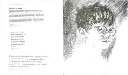 Harry Potter. La historia de la magia