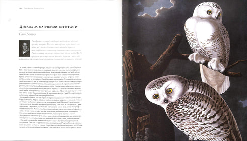 Harry Potter. La historia de la magia