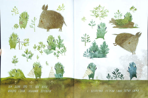 Cumpleaños del abeto