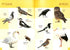 Перша книга малюка/Baby's first book