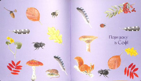 Expedition with Ant Sophie. Exploring the nature around us.