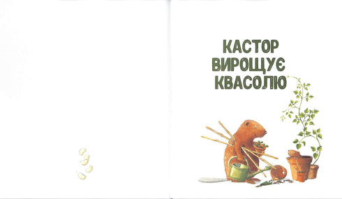 Kastor - ein Meister in allen Belangen: erzählt von Instrumenten und lehrt, sie anzuwenden. 7 Geschichten in 1 Buch.