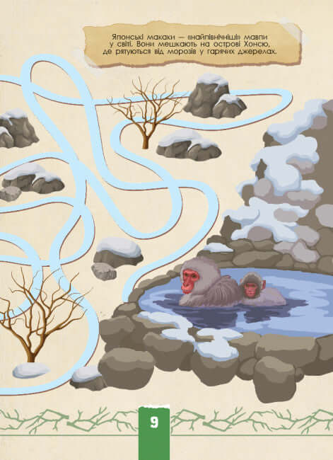 Écocourse. Faune sauvage