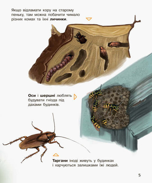 Enciclopedia del preescolar. Insectos