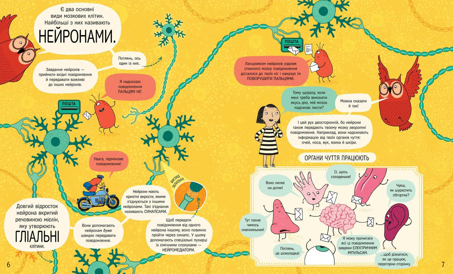 Книжка про мозок і те, як він працює