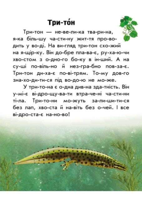 Моя Україна. Читаємо по складах: Тваринний світ річок і морів